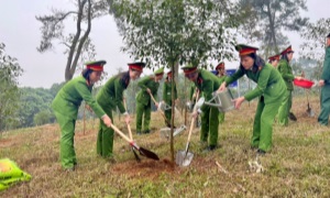 Hội Phụ nữ - Đoàn Thanh niên Cục Cảnh sát quản lý hành chính về trật tự xã hội tổ chức hoạt động về nguồn và hưởng ứng phong trào “Tết trồng cây - Vì một Việt Nam xanh” tại khu Di tích lịch sử K9 - Đá Chông