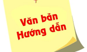 Hướng dẫn cơ quan, tổ chức xét nghiệm, phân tích, tạo lập dữ liệu phục vụ  việc thu thập, cập nhật thông tin sinh trắc học ADN vào Cơ sở dữ liệu Căn cước