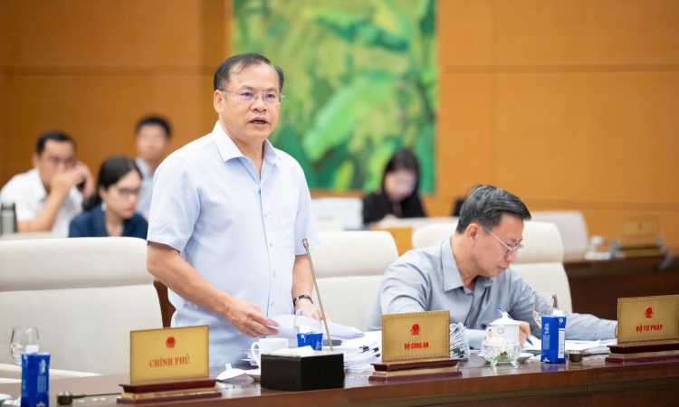 Đề xuất sửa đổi, bổ sung 10 luật về an ninh, trật tự gắn với cắt giảm thủ tục hành chính, phân cấp, phân quyền